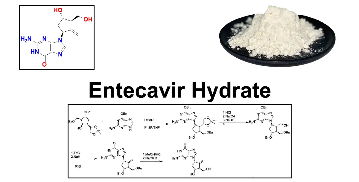 Entecavir Hydrate Factory.jpg